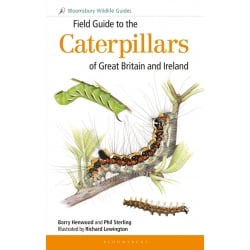 Caterpillars of Great Britain and Ireland - New and accurate Field Guide